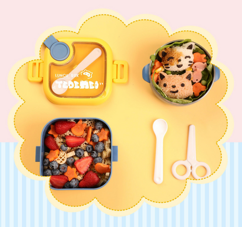 Tedemei Square 750ml Lunch Box