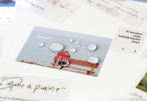 PaperMore Sticker Pack