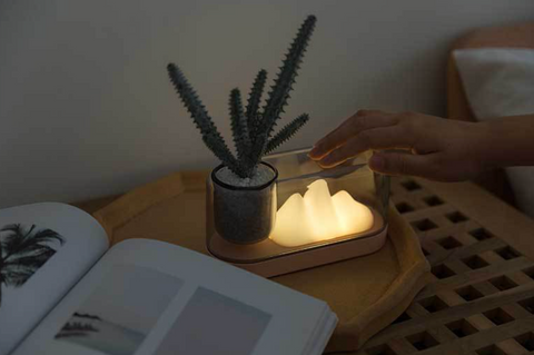 Plant Mountain Nightlight