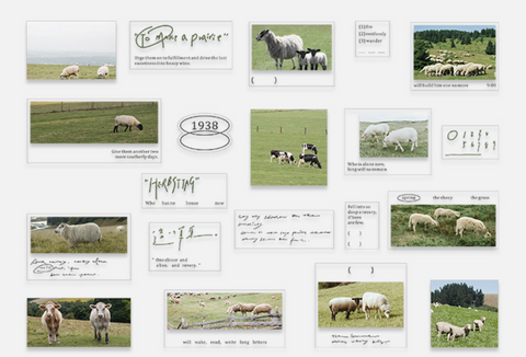 PaperMore Sticker Pack