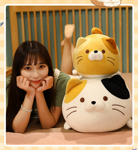 35cm Chubby Cat Plush