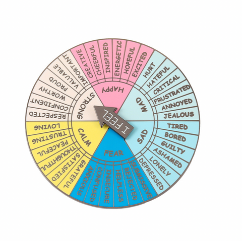 Feelings Pin
