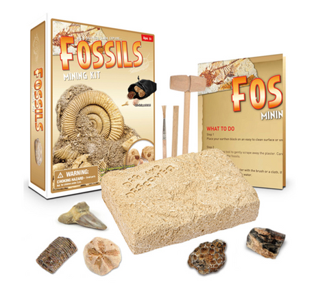 Fossil Dig Kit