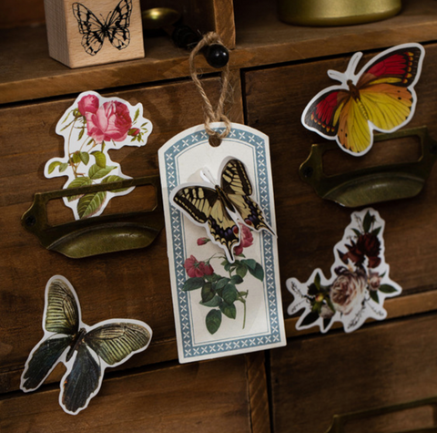 Waking Dream Boxed Stickers