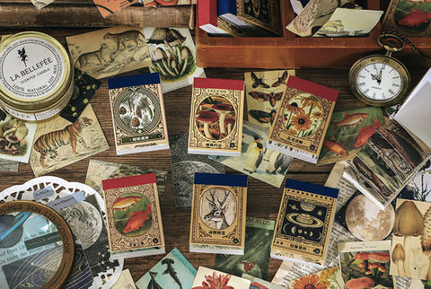 Infeel.Me Deco Wildlife Scrap Paper Sticker Book