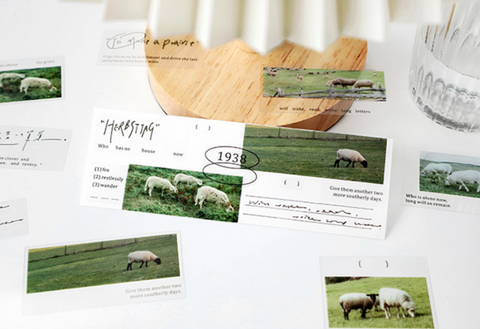 PaperMore Sticker Pack