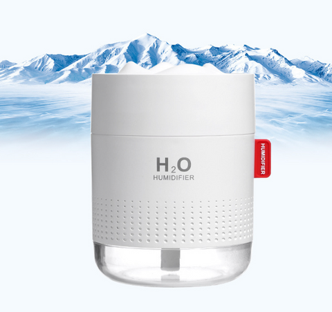 Mountain Top Humidifier