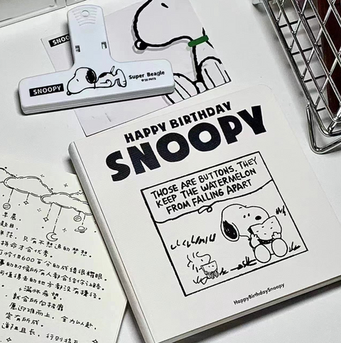 Snoopy Watermelon Grid Notebook