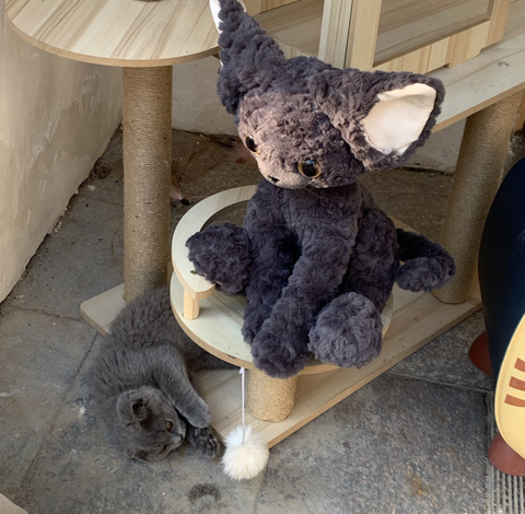 Raggedy Cat Plush 40cm