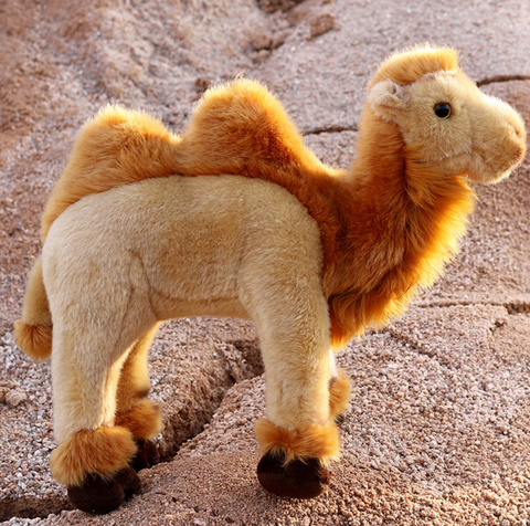 Camel Plush 30cm