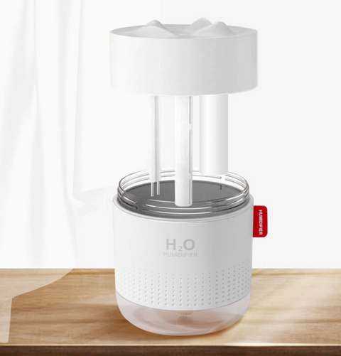 Mountain Top Humidifier