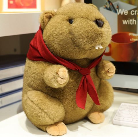 Happy Beaver Medium Plush 35cm