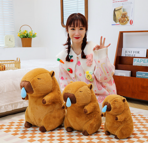 28cm Snot Face Capybara Plush