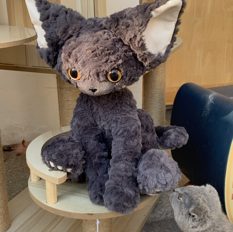 Raggedy Cat Plush 40cm