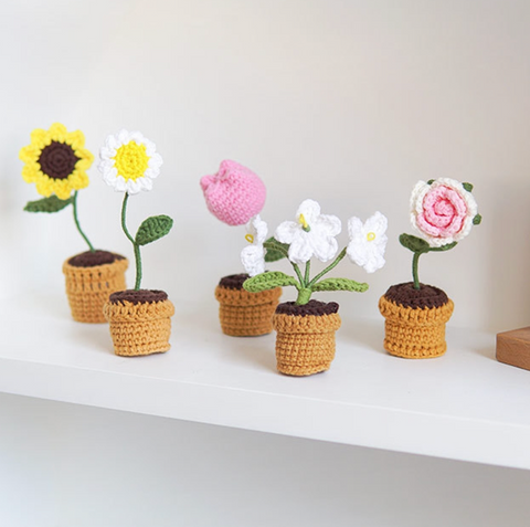 5 Potted Plants Crochet Kit