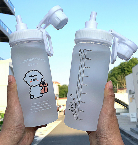 Alpaca Glass Water Bottle 500ml