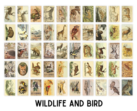 Infeel.Me Deco Wildlife Scrap Paper Sticker Book