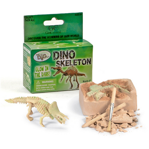 Dino Skeleton Mining Kit