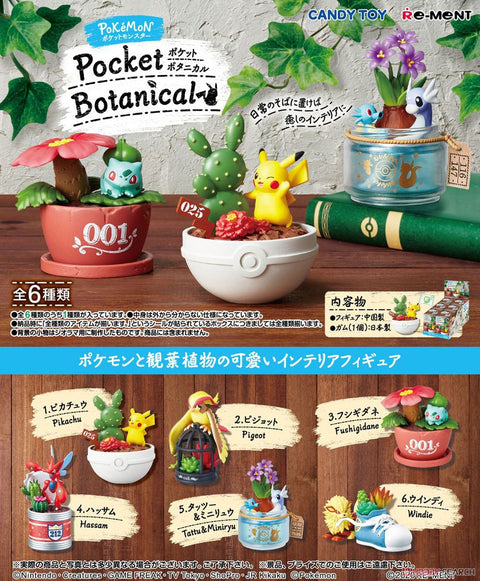 Pokemon Pocket Botanical Statues