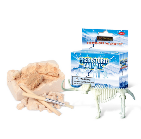 Prehistoric Animals Mining Kit