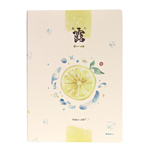 Ice Fruits 16K Notebook